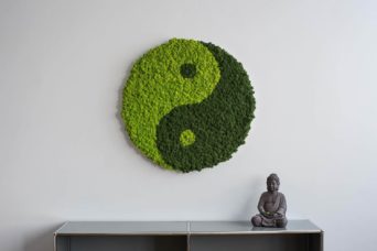 Letras de Musgo (2)