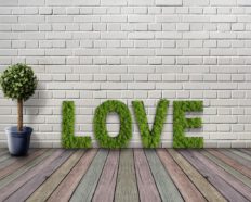 Letras de Musgo Natural