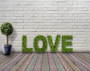 Letras de Musgo Natural