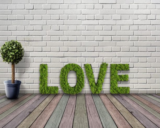 Letras de Musgo Natural